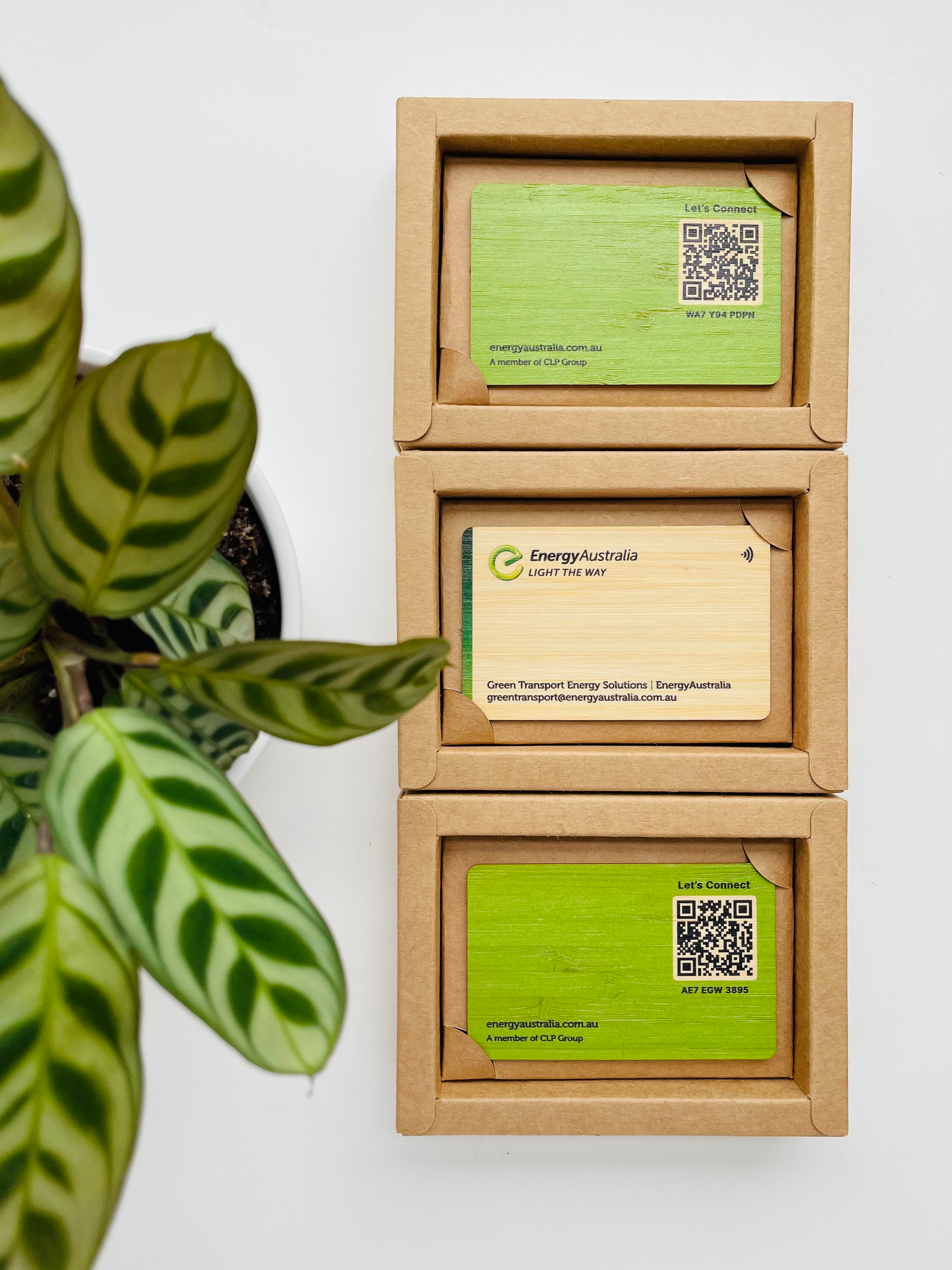 A Numbers Approach to Business Card Sustainability